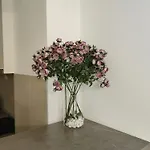 Museum